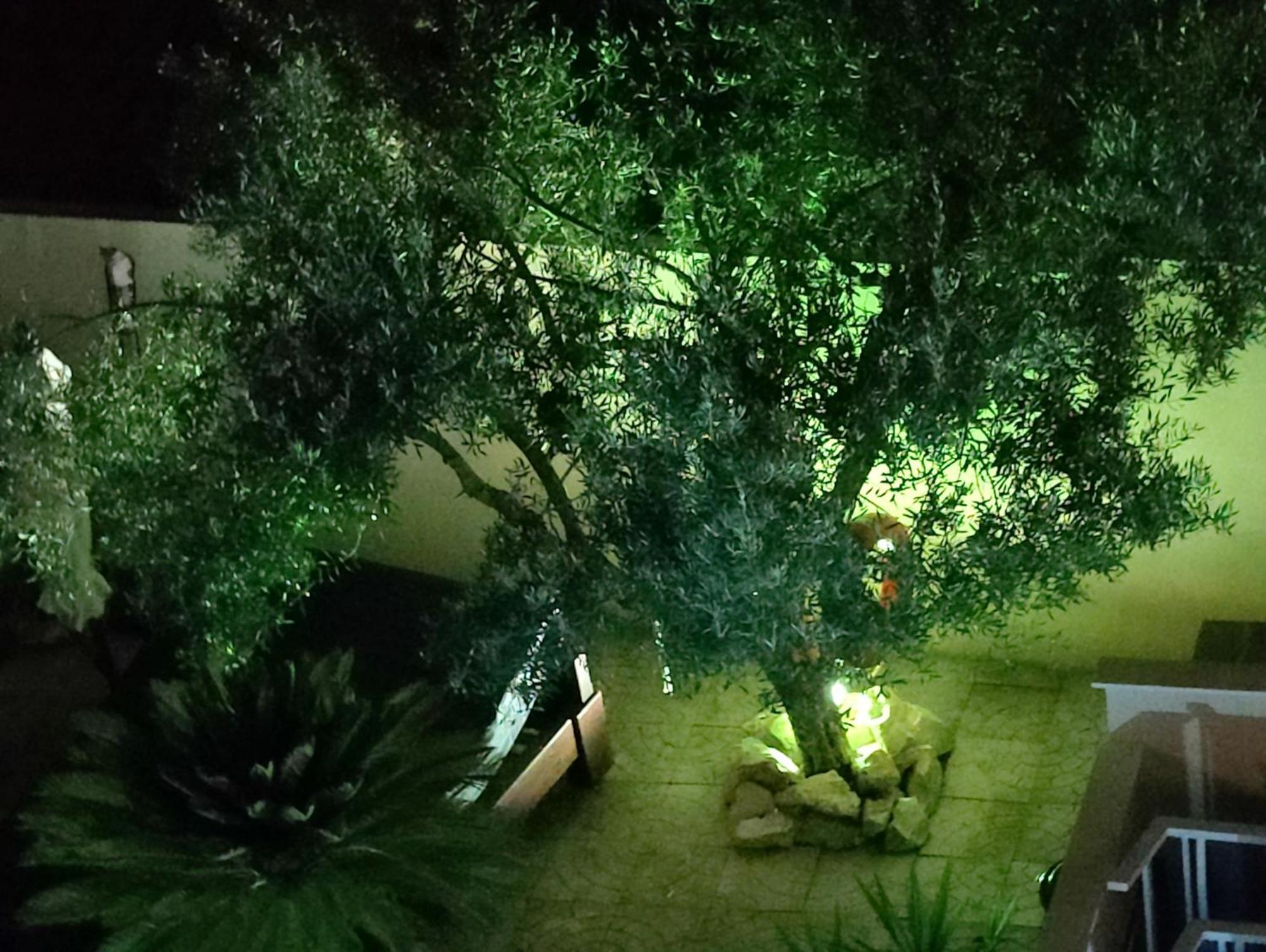 Apartments Villa A - Heating Pool Trogir Luaran gambar